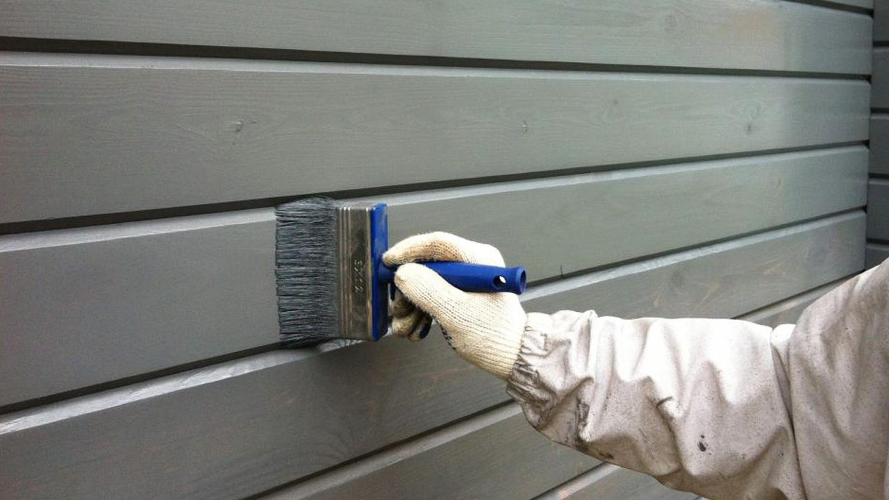 Изображение WhatsApp 2025-03-26 в 00.05.26_5667c708