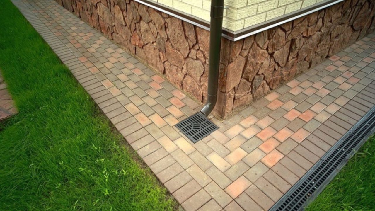 Изображение WhatsApp 2025-04-01 в 20.26.25_d3d52411