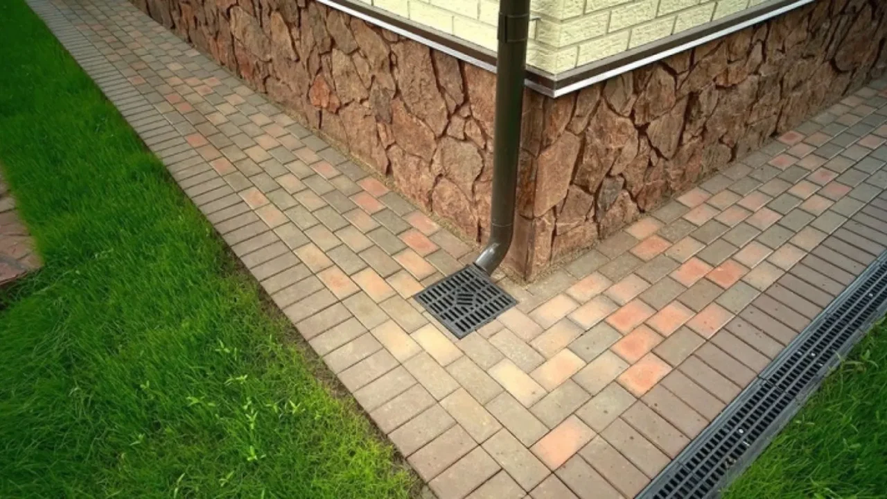 Изображение WhatsApp 2025-04-01 в 20.26.25_d3d52411