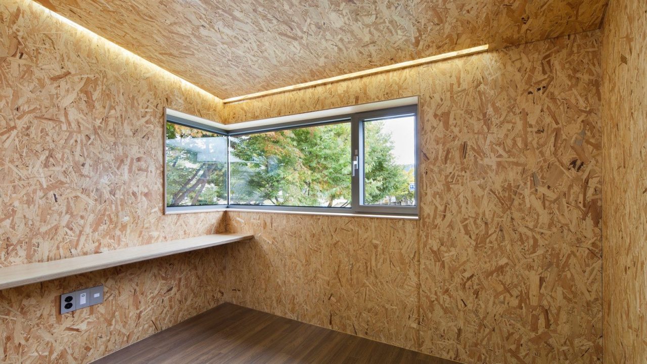 Изображение WhatsApp 2025-05-22 в 21.46.18_ce2efb9e